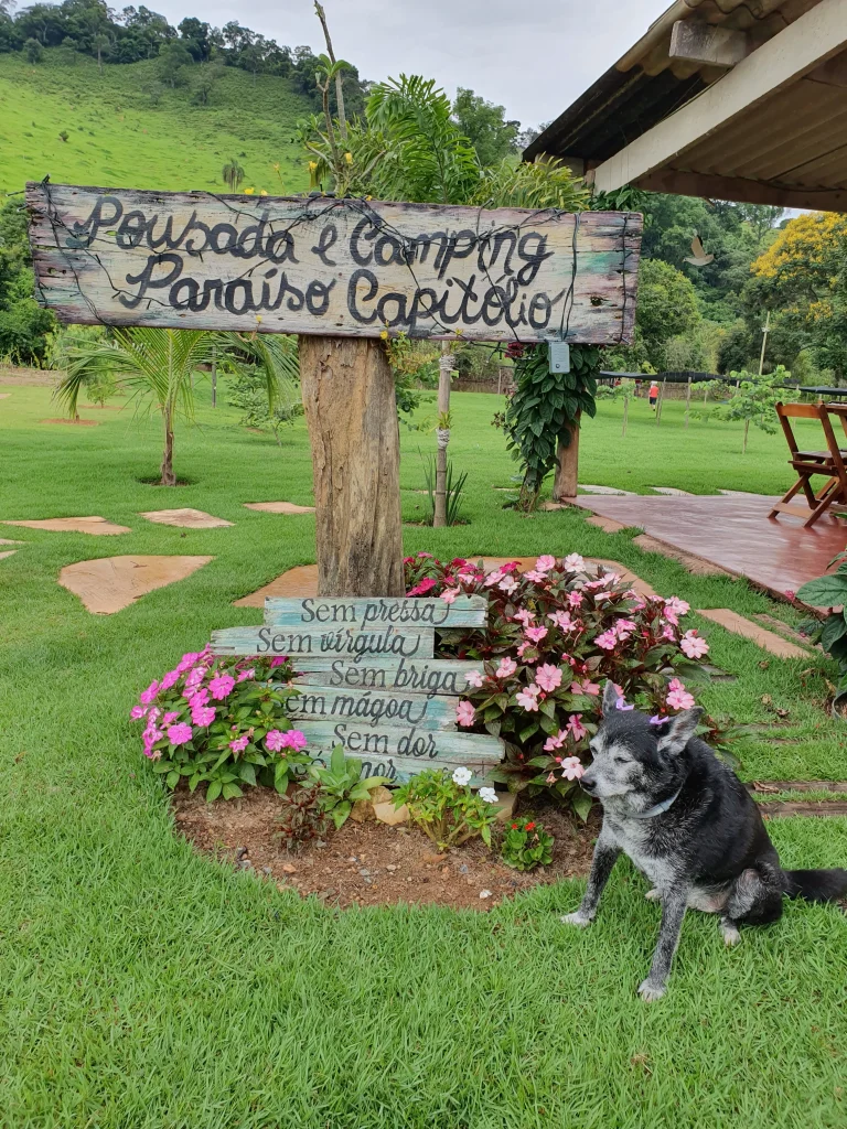 Capitólio – passeios com meus cachorros