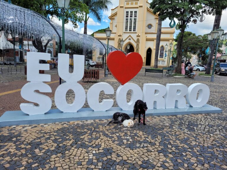 8 lugares para você levar o seu cachorro em Socorro