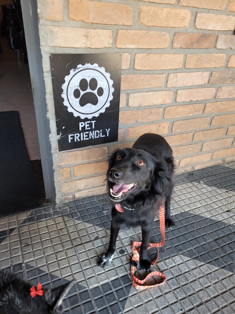 Soma Cervejaria aceita cachorro