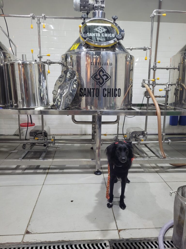 Cervejaria Santo Chico – opção petfriendly em São Paulo