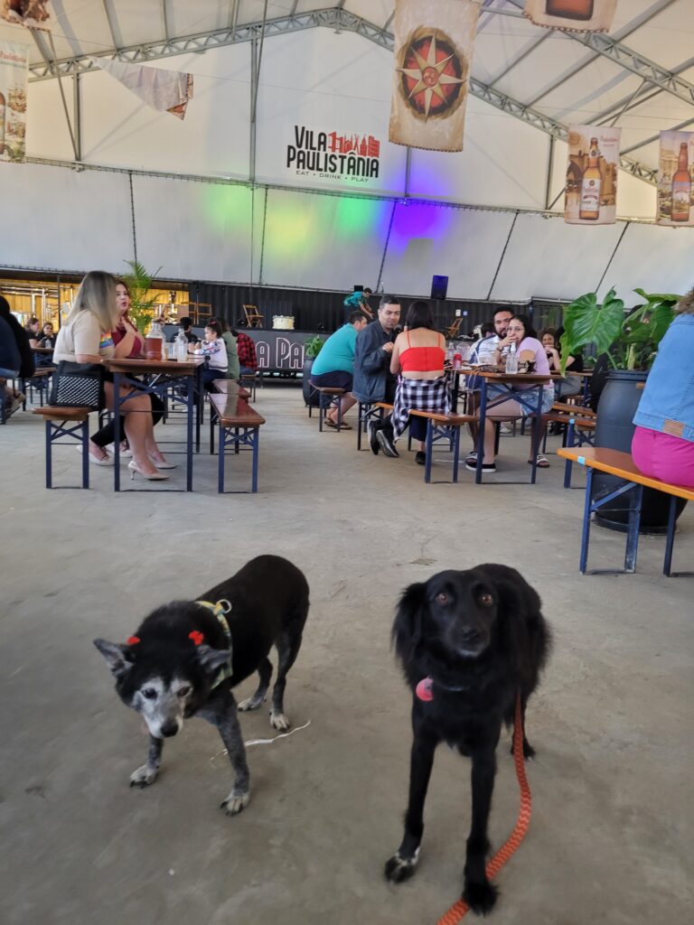 Vila Paulistânia – aceita cachorro de todos os tamanhos