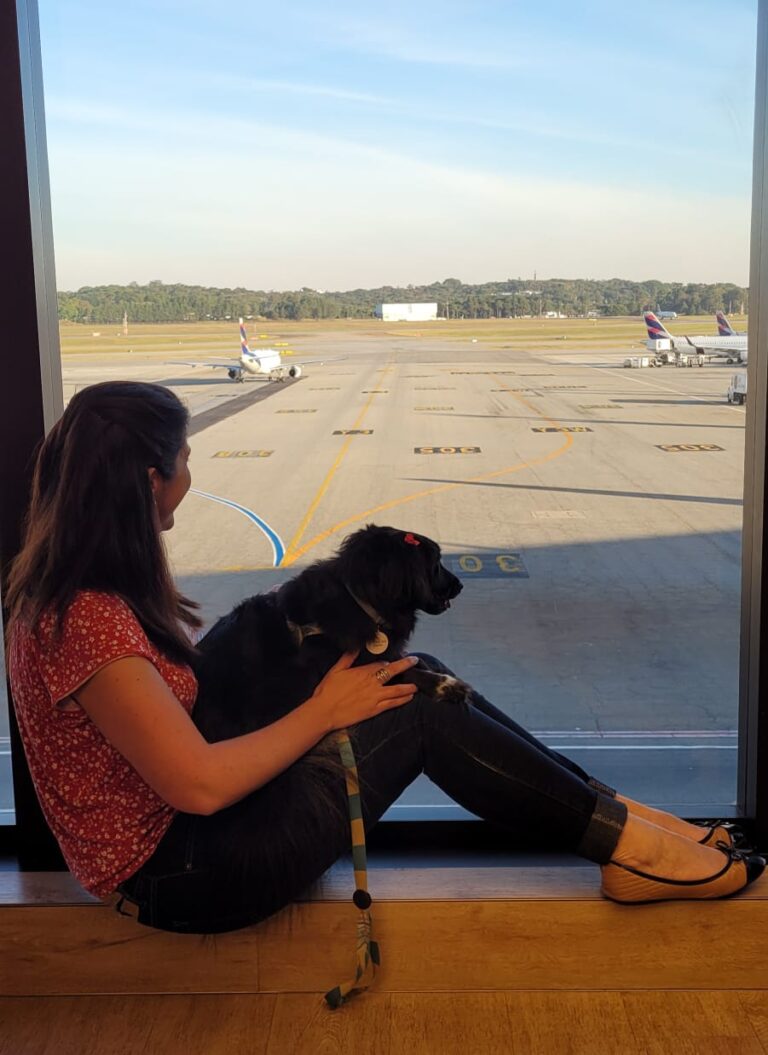 Viagem com cachorro de avião