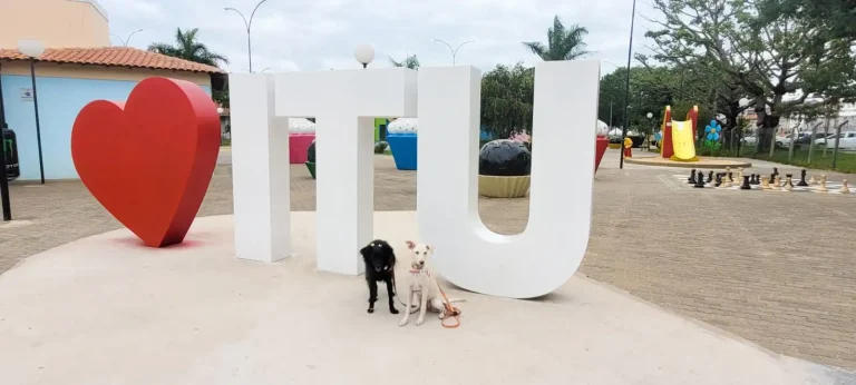 Viagem com cachorro – Itu – São Paulo