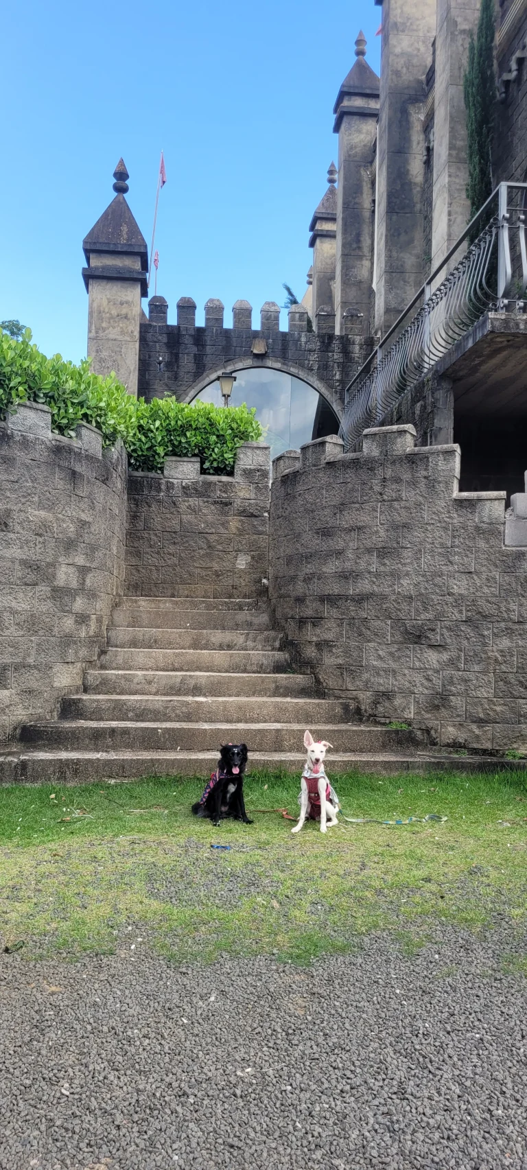 Castelo dos Vinhais – um passeio de princesa com seu pet