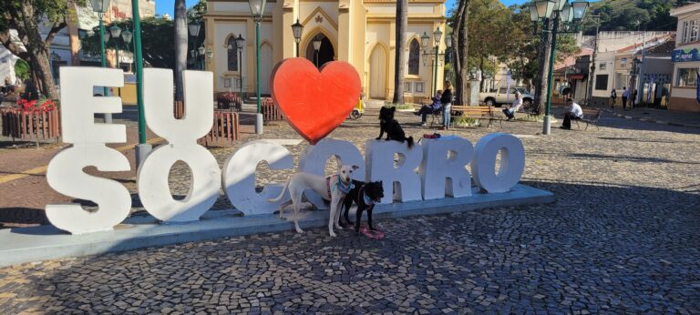 4 dias em Socorro com o seu cachorro