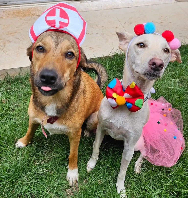 CarnavAU – Clube de Cãompo Itu