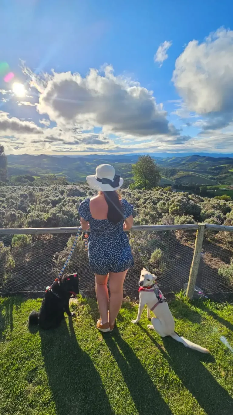 Farejando por aí em Cunha – uma viagem pet friendly