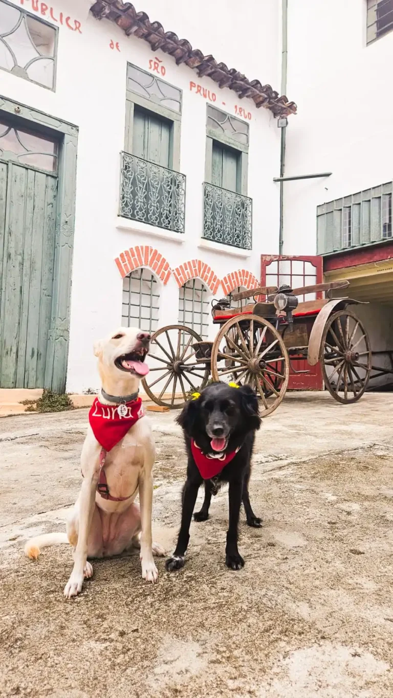 Uma vila antiga em São Paulo