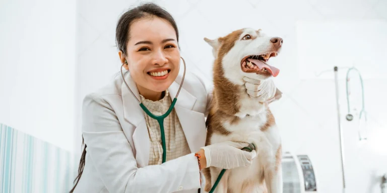 Articulações dos pets: Atenção precisa ser redobrada no Inverno