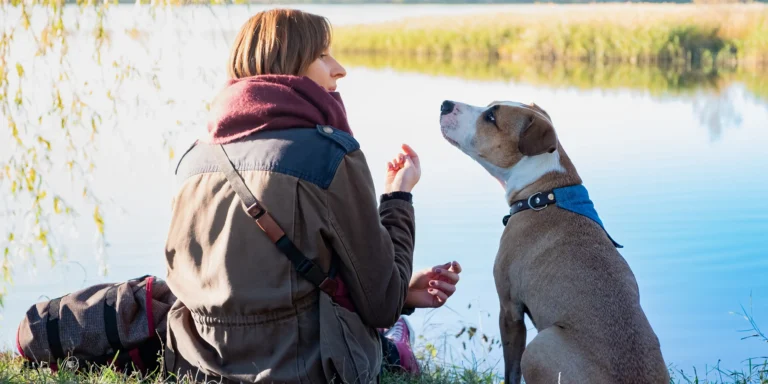 Pets de assistência emocional contribuem com a  melhor qualidade de vida das pessoas autistas