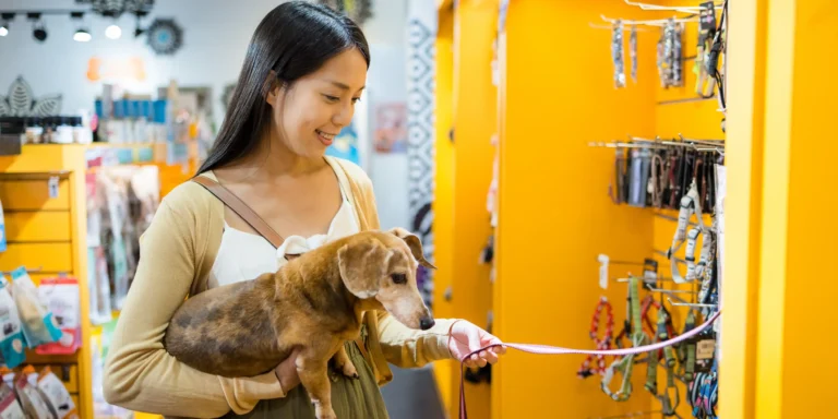 6 dicas para um passeio divertido e seguro no shopping com o seu pet