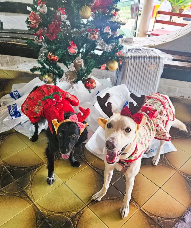 NatAU Farejando por aí