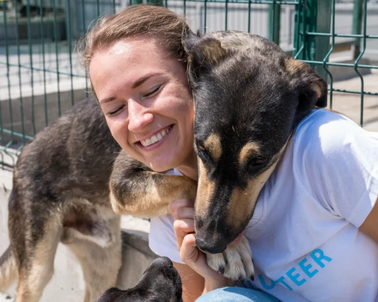 Adoções de animais crescem 219% em Rio Claro com apoio da tecnologia