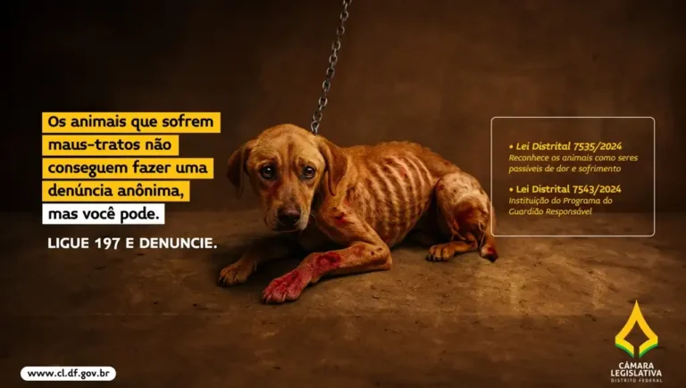 Campanha Pets 2025 conscientiza população sobre maus-tratos e guarda responsável
