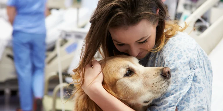 Cães são capazes de detectar câncer, Alzheimer e Parkinson apenas pelo cheiro do corpo humano