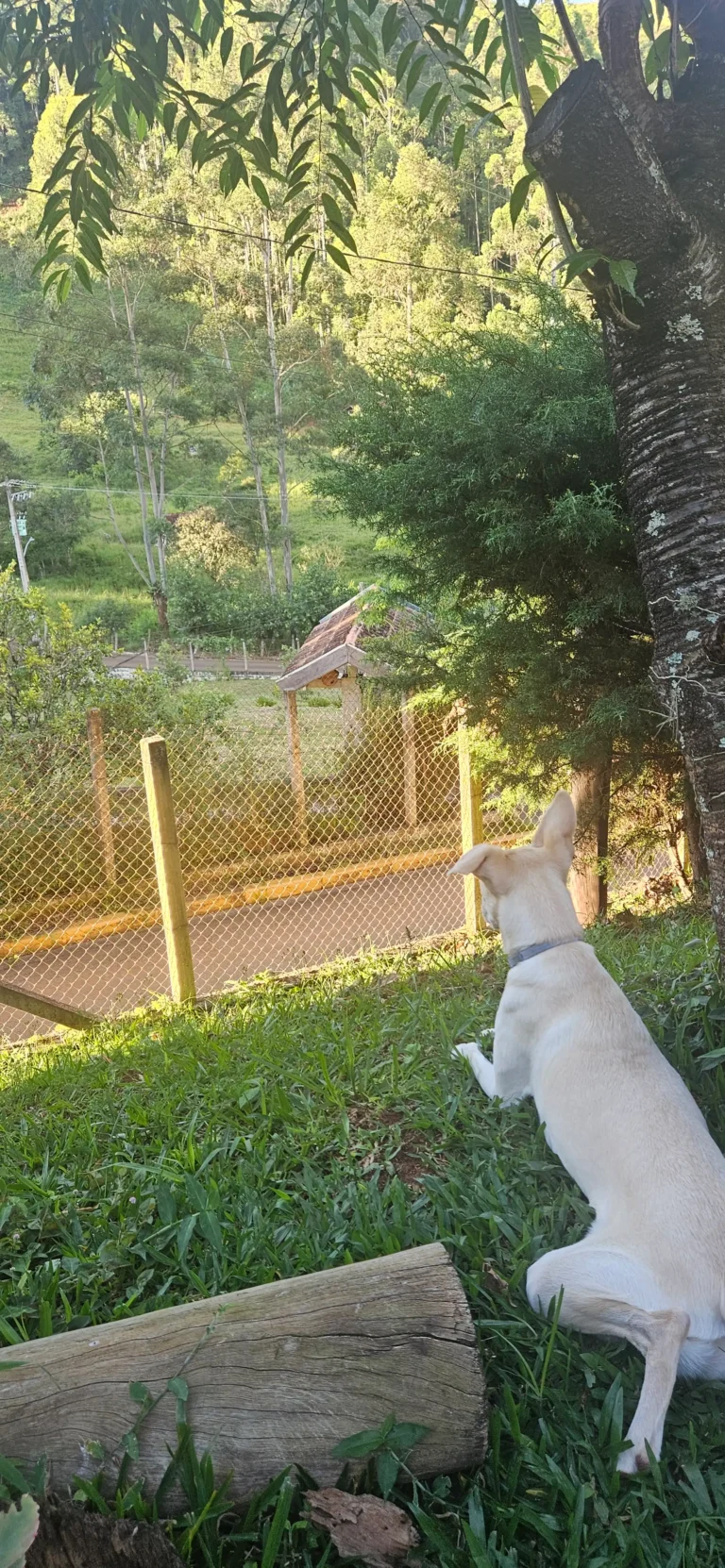 Para fugir do agito do carnaval – Santo Antônio do Pinhal