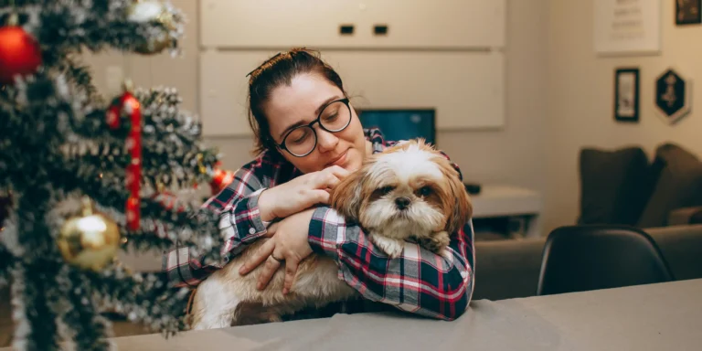 Mudança de rotina no fim do ano pode aumentar ansiedade dos pets