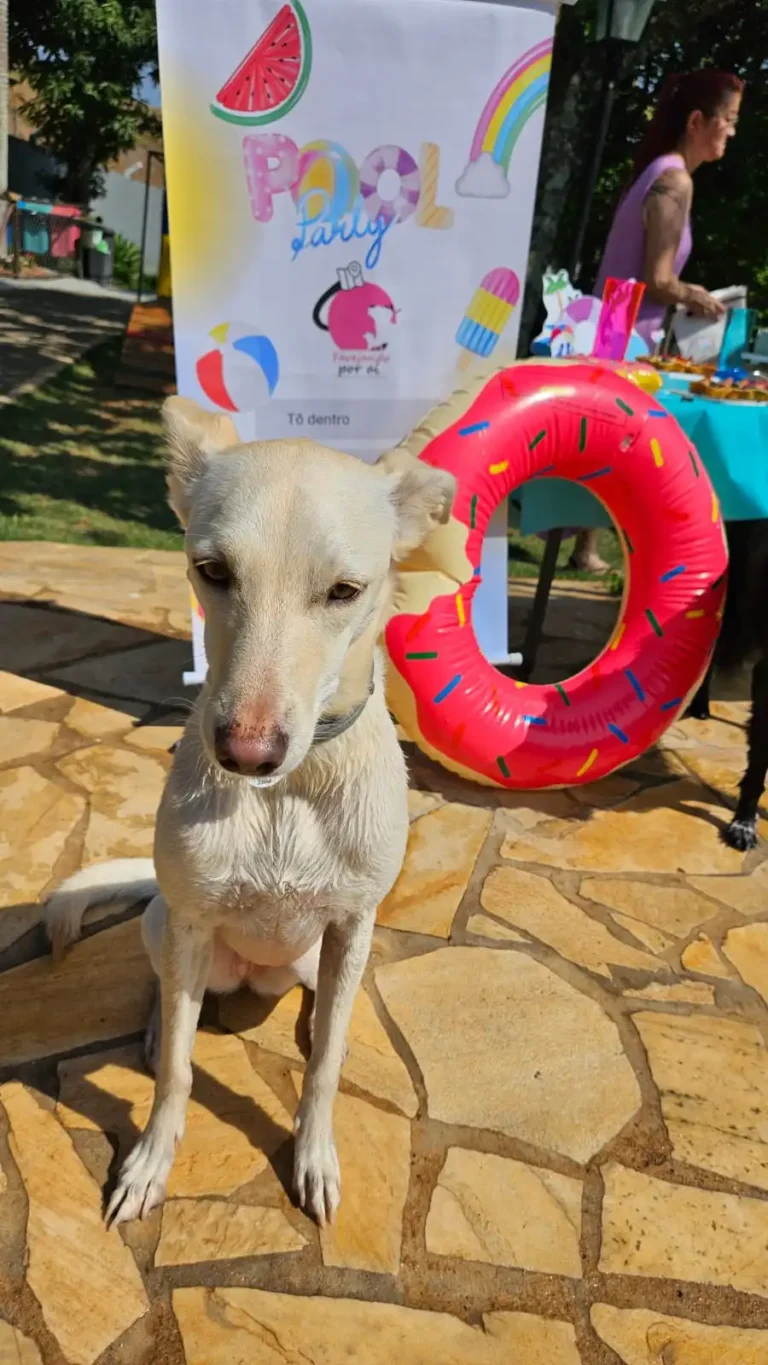 Pool Party Pet Friendly – diversão garantida em São Roque!