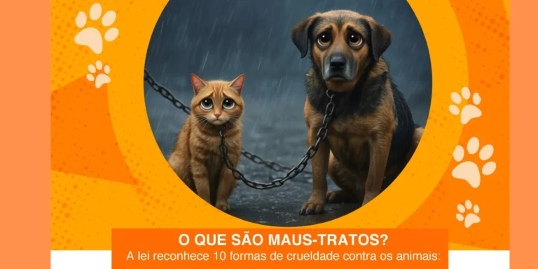 ABRIL LARANJA: Comissão Especial de Direito Animal da OAB/GO lança cartilha educativa de combate aos maus-tratos