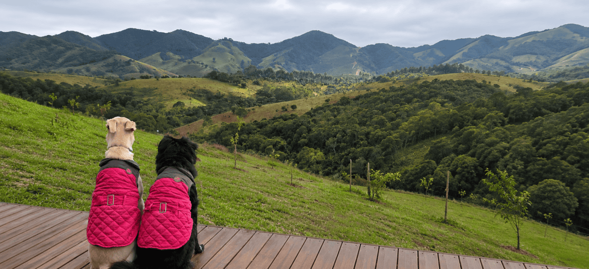 chalé pet friendly em Pouso Alto