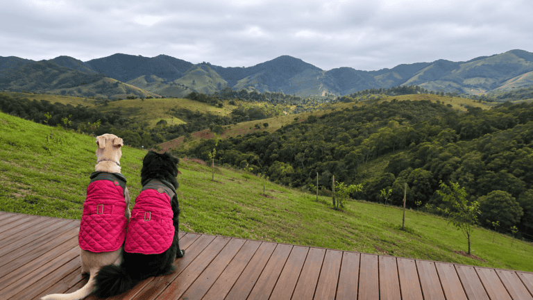chalé pet friendly em Pouso Alto