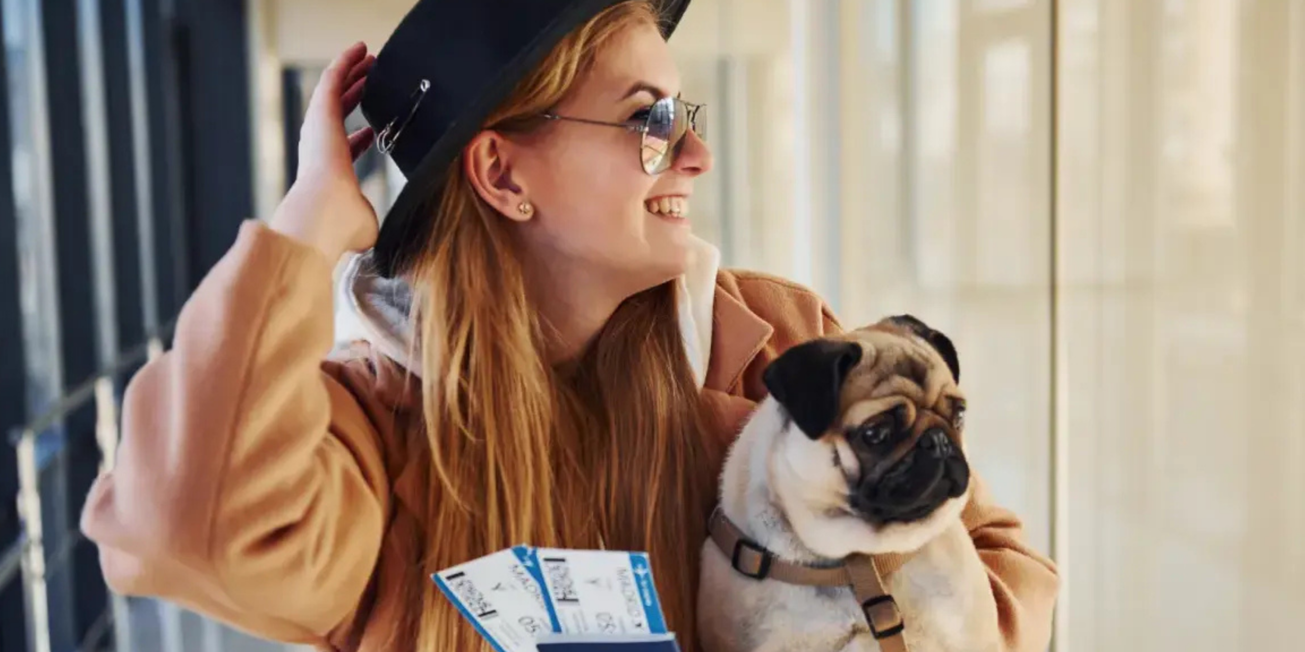 turismo pet friendly no Brasil — pesquisa nacional do Ministério do Turismo