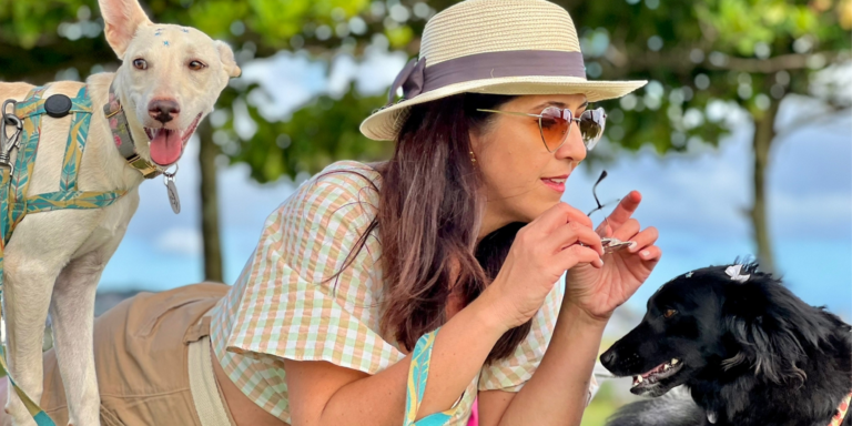 Participe da Pesquisa Nacional de Turismo Pet Friendly