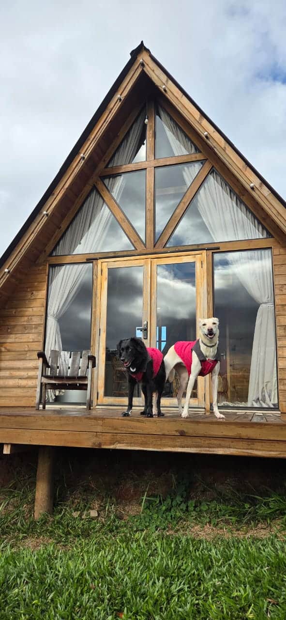 chalé pet friendly em Pouso Alto