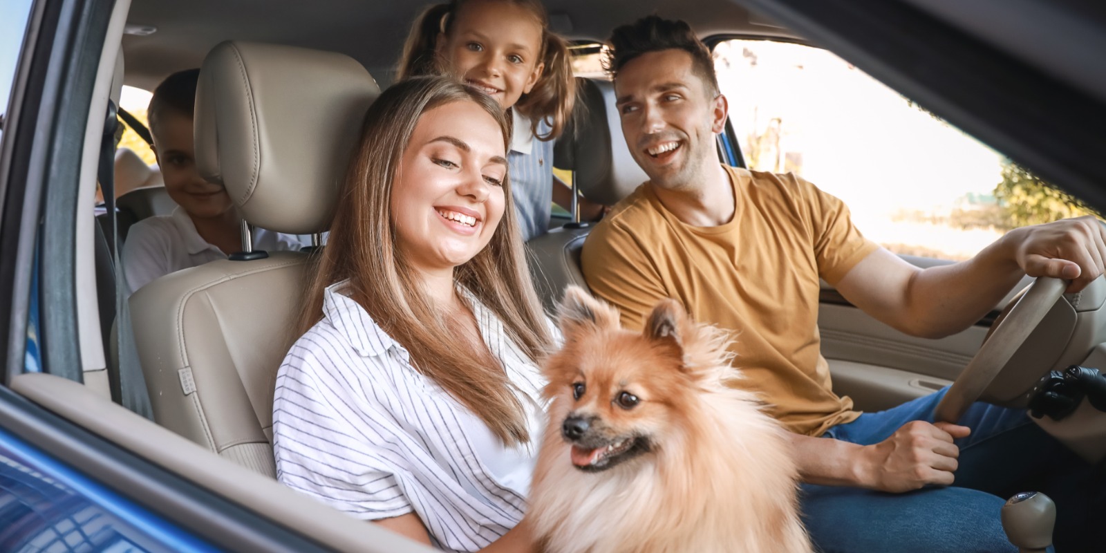 Família viajando de carro com cachorro de estimação - mapeamento do turismo pet friendly