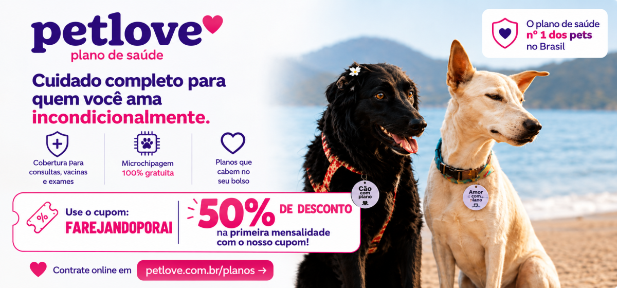 Cães na Praia com Plano Petlove